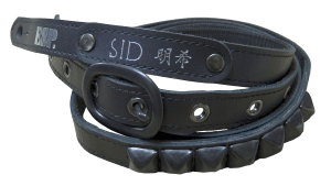 ES-S-100SA