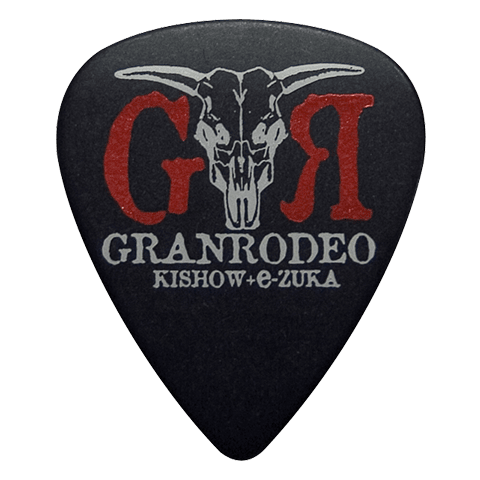 PA-GRe10