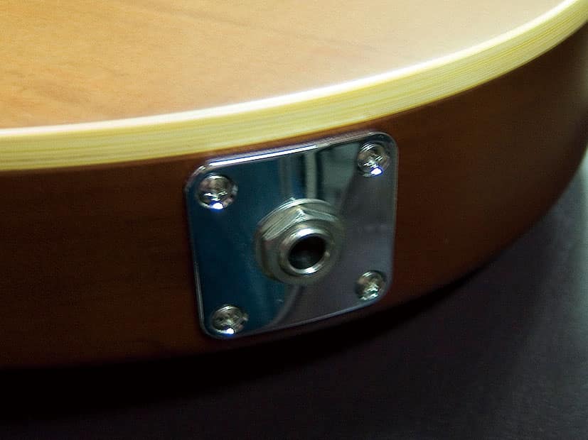 BambooInn<br>Charプロデュース ニューコンセプトギター<br>～すべての音楽人のために～