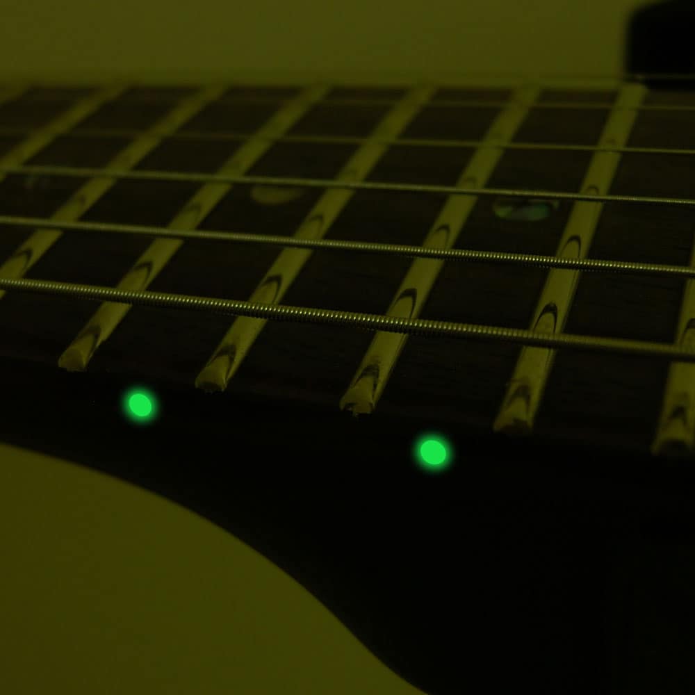 ESP × OVERDRIVE SPECIAL COLLABORATION GUITAR 紗理奈 Signature Model ～BLACK LILY～