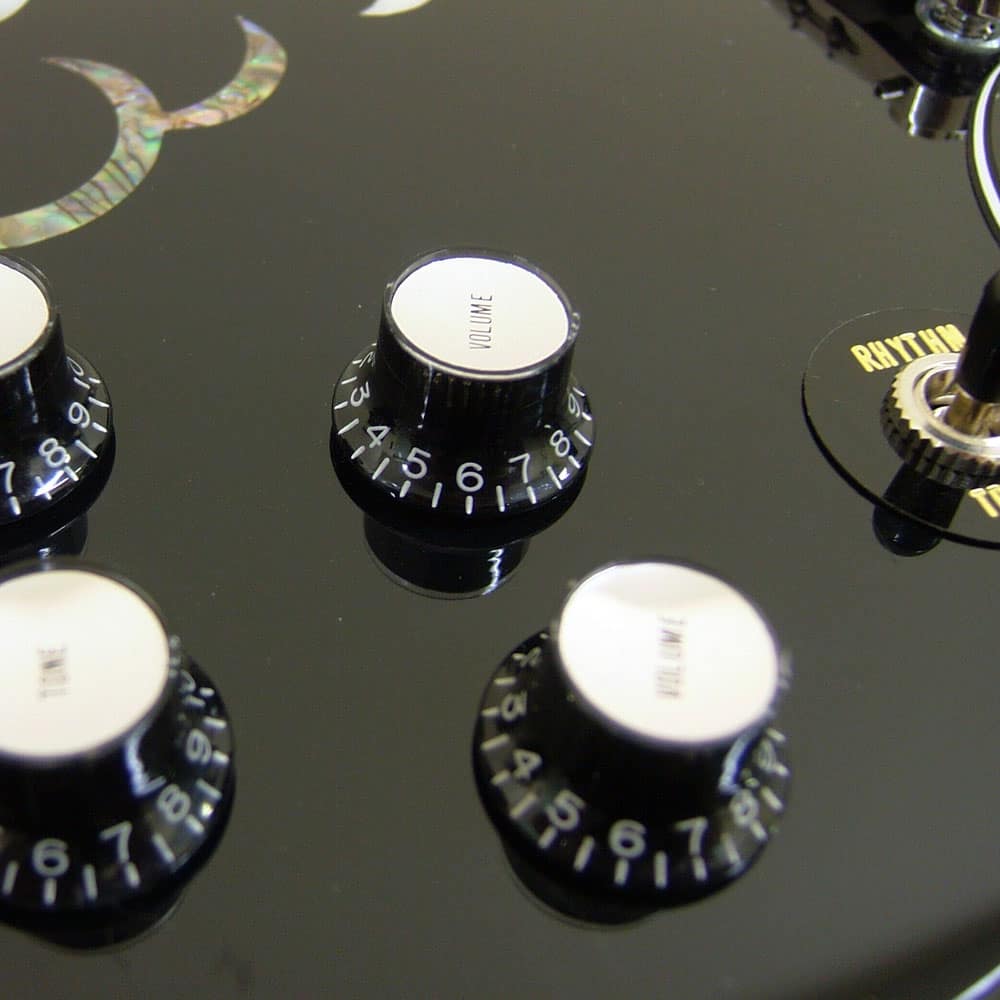 ESP × OVERDRIVE SPECIAL COLLABORATION GUITAR 紗理奈 Signature Model ～BLACK LILY～