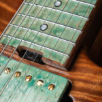 SNAPPER-CTM-7