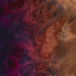 SNAPPER-CTM Poplar Burl /M
