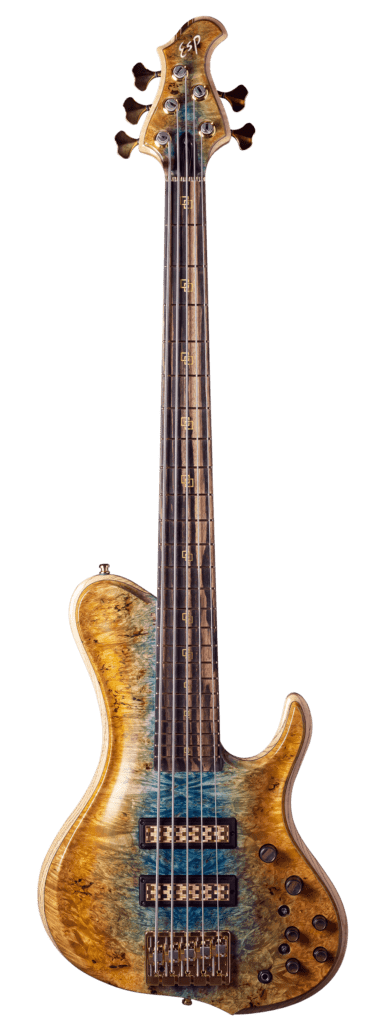PROTO TYPE BASS 5st