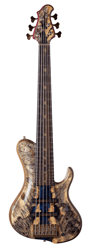 PROTO TYPE BASS 6st