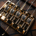 OM BASS-5
