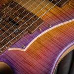 SNAPPER-CTM-7