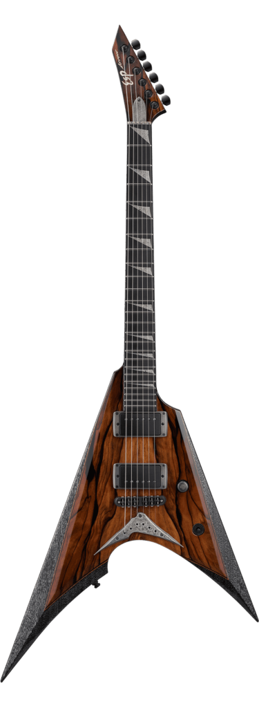 ESP-ARROW-CTM NT