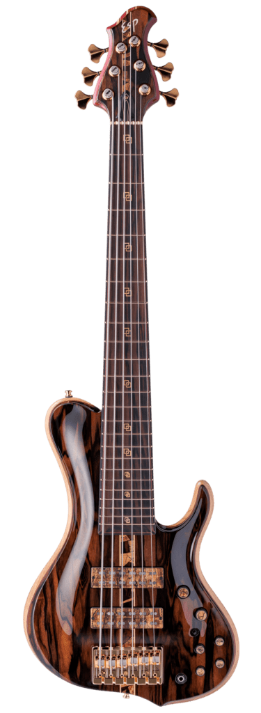 OM BASS-6