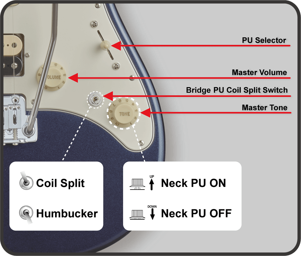 E-SNAPPER-AS/M