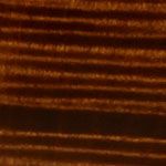 HORIZON-CTM FR/FM