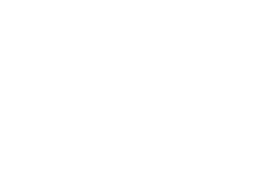 Discontinued Bass Model
