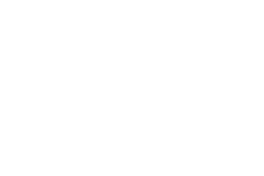 Discontinued Guitar Model