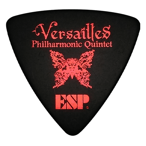PA-VM10
