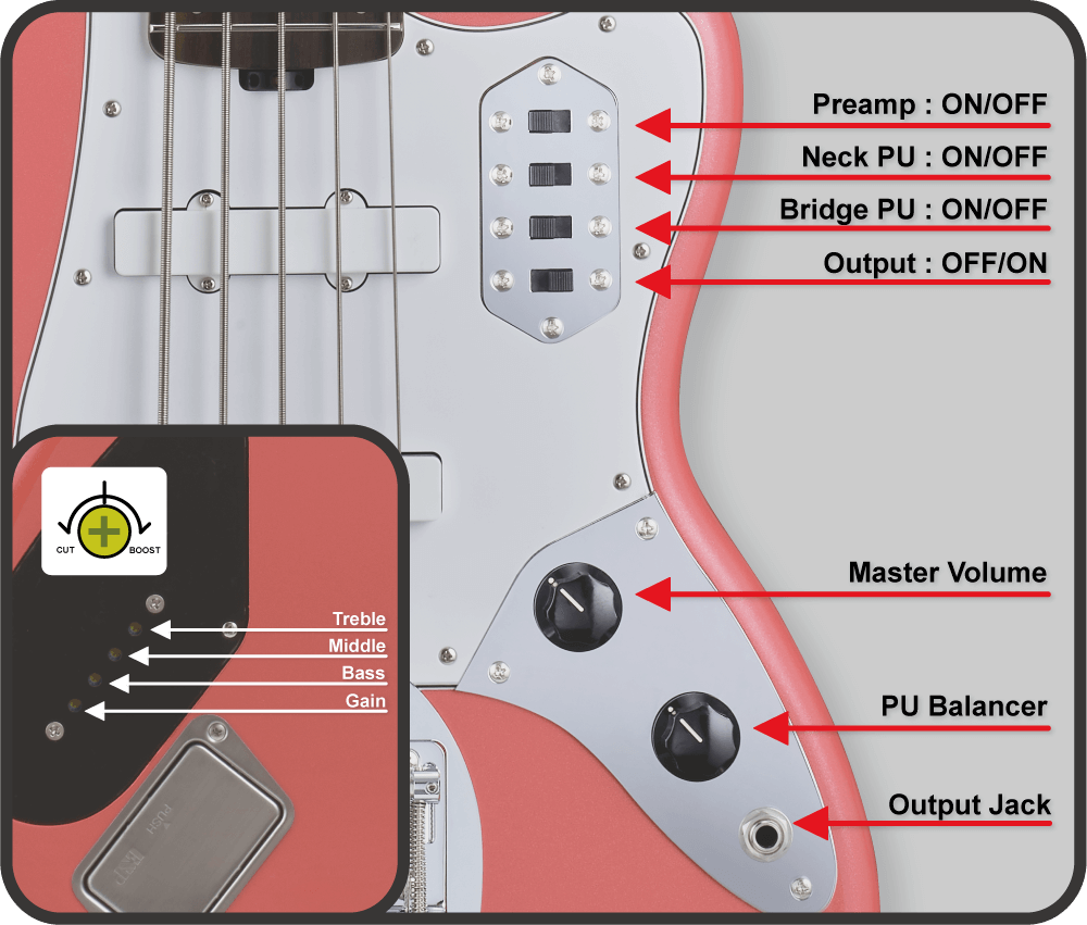 BASS V-DL
