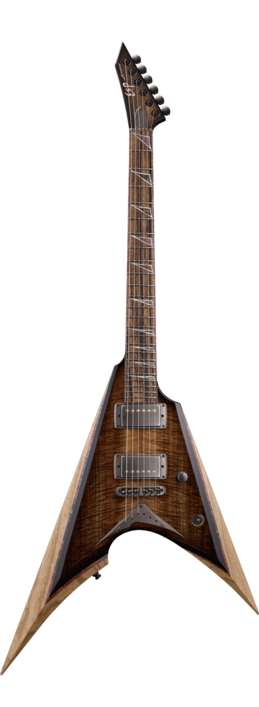 ESP-ARROW CTM NT