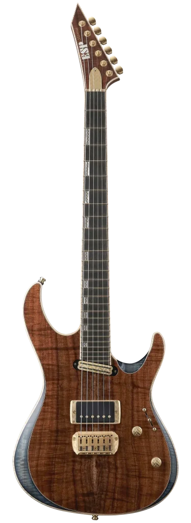 MAVERICK-CTM NT