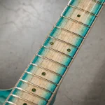 SNAPPER-CTM