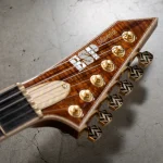 MAVERICK-CTM NT